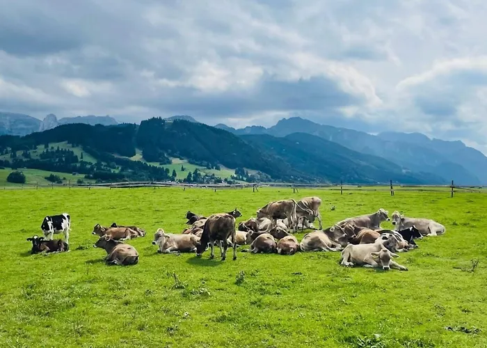 Apartment Alpenblick 9, Im Allgäu, Bergblick Pur - Neueröffnung! Halblech