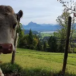 Alpenblick 9, Bergblick Pur Im Allgaeu 哈尔伯莱赫