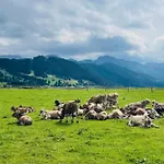 公寓 Alpenblick 9, Bergblick Pur Im Allgaeu 哈尔伯莱赫