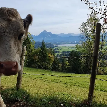Alpenblick 9, Bergblick Pur Im Allgaeu Хальблех
